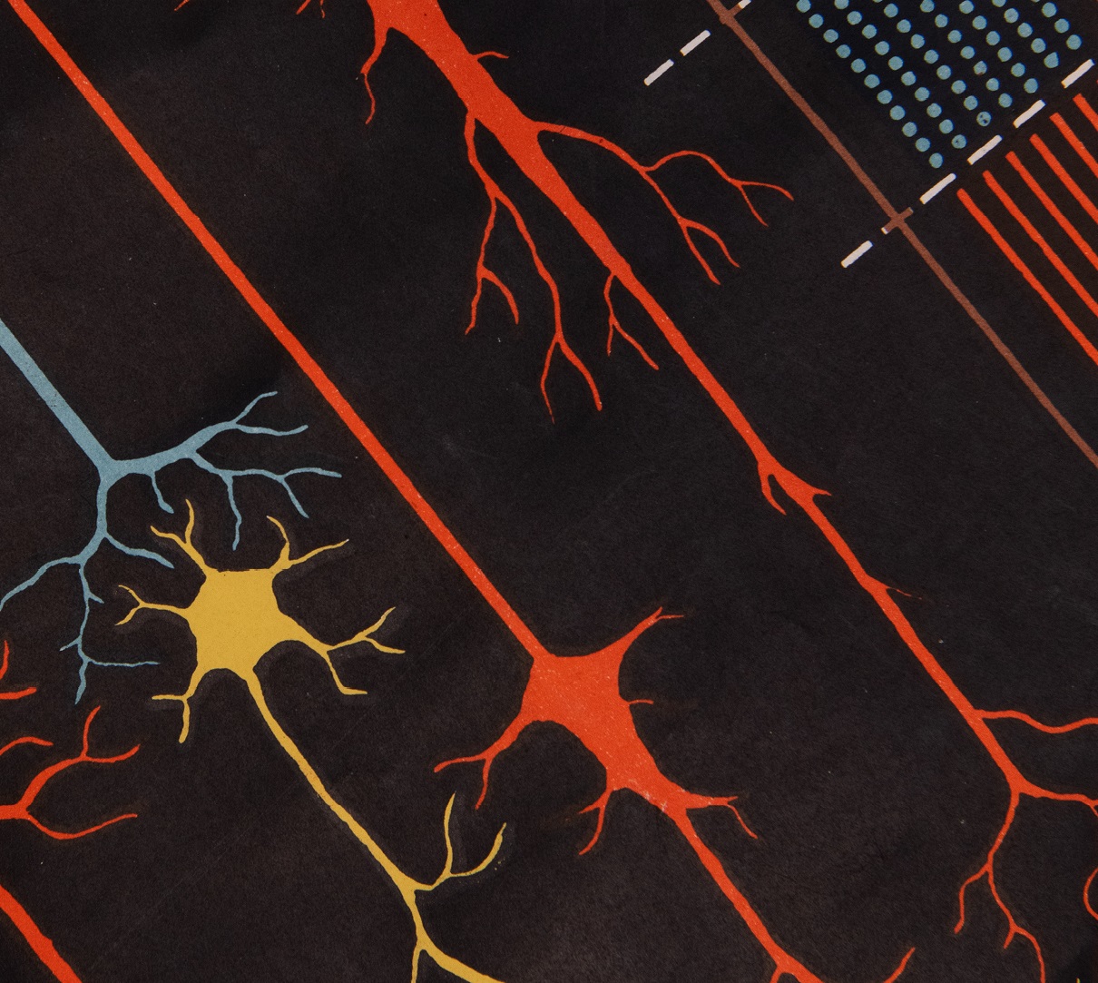 Thackray Insights: The Science of Song