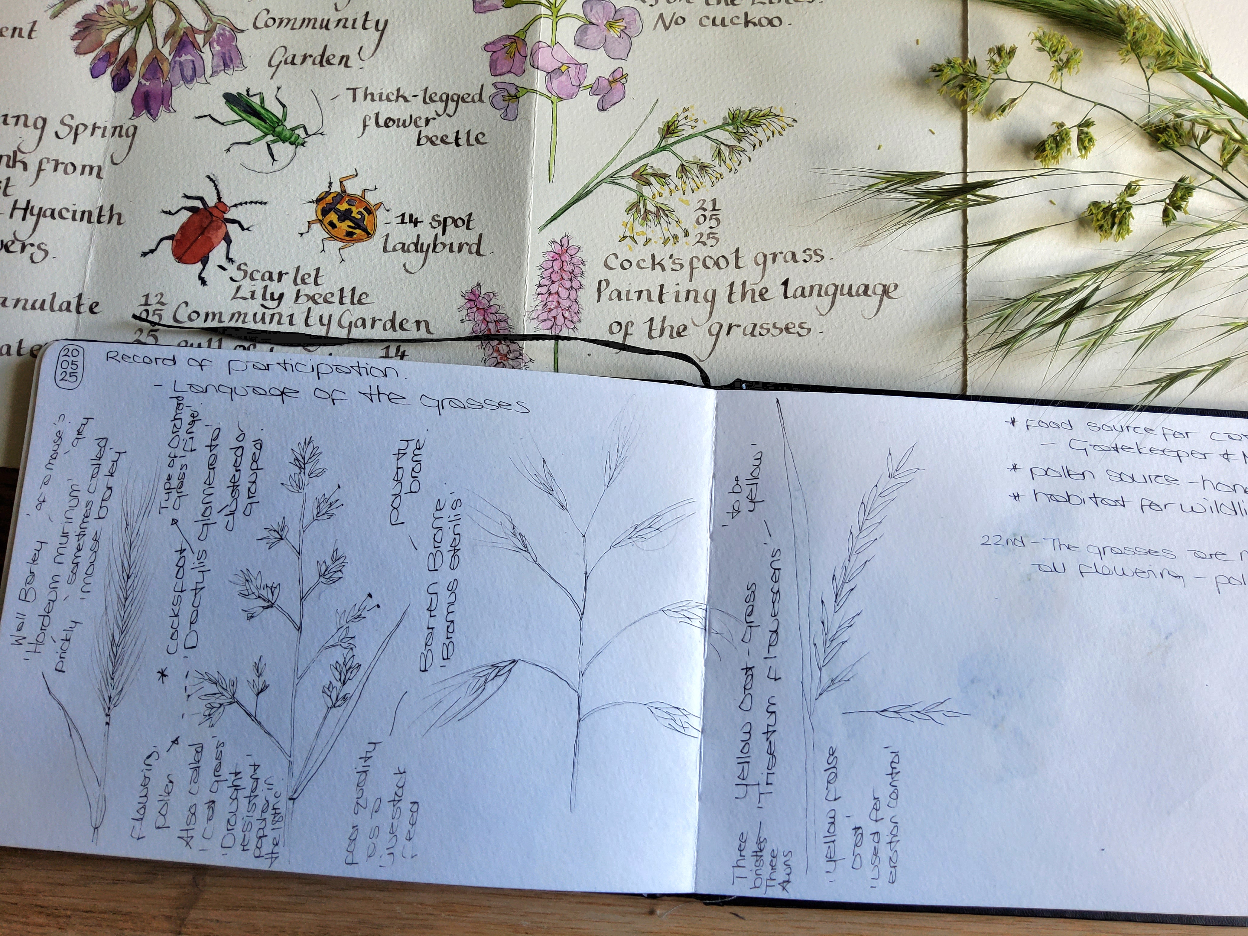 Garforth Nature Journal Club