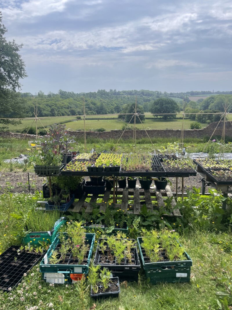 Living Potential Community Garden