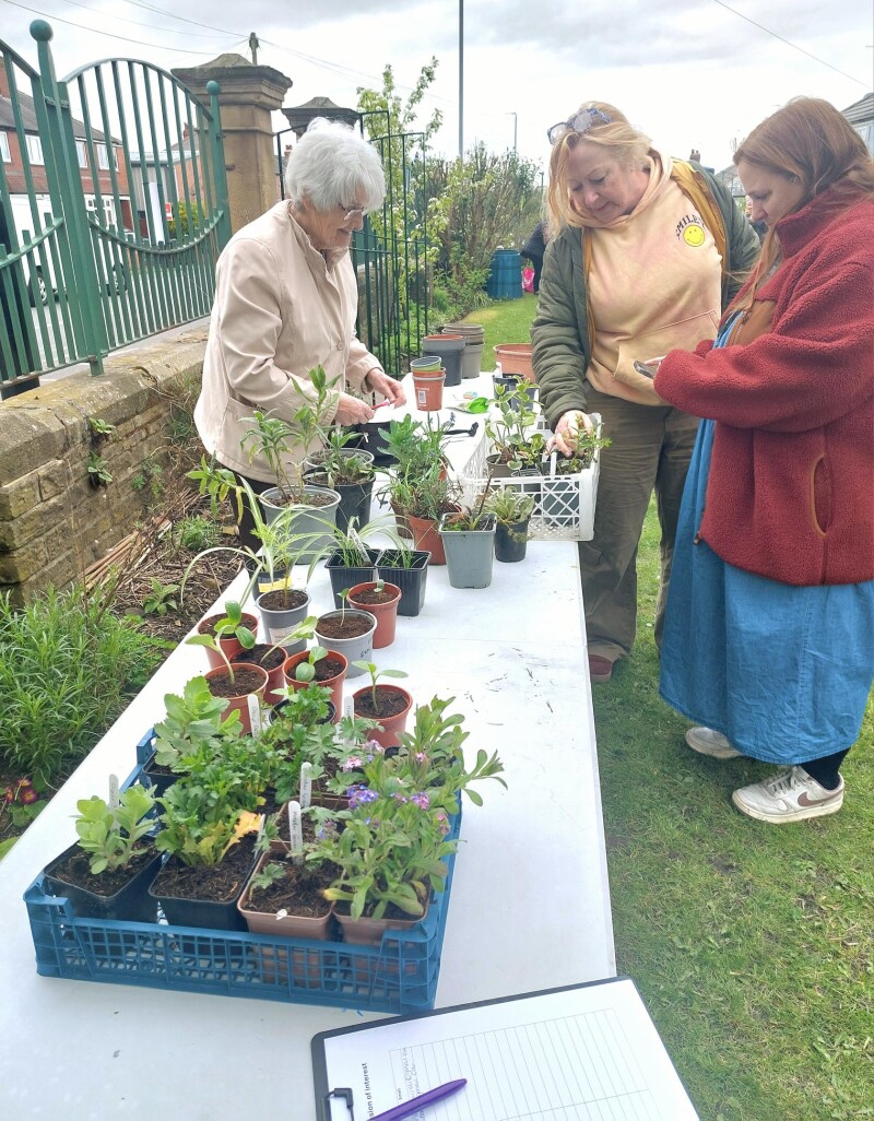 Grow Your Own – workshop and talk