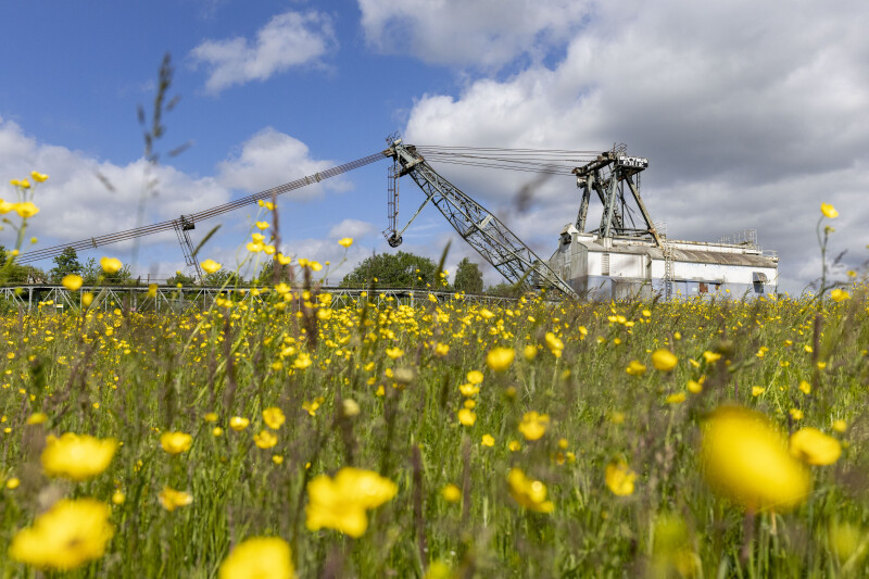 History Walk- RSPB St Aidan’s – Session