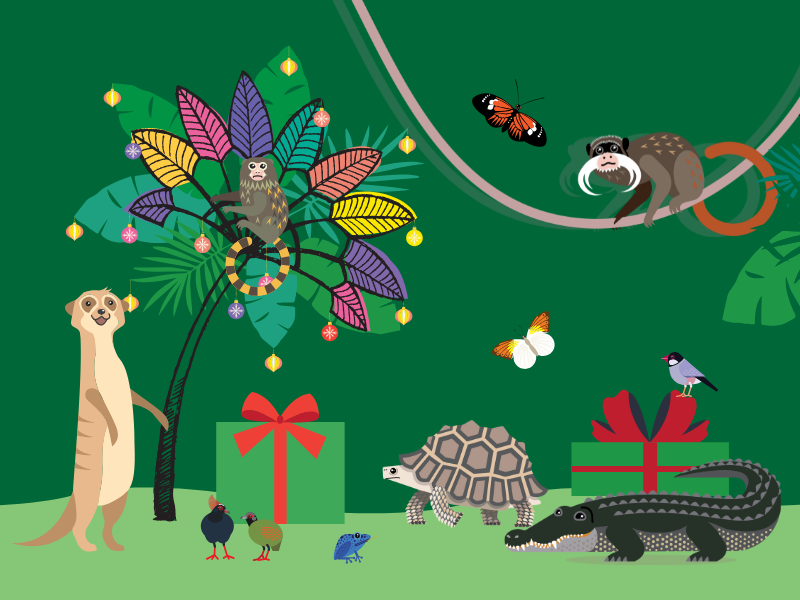 12 Days of Christmas at Tropical World