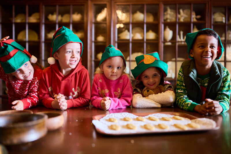 The Elf Academy