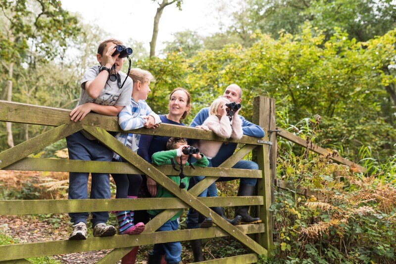 Summer Family Nature Adventures- RSPB St Aidan’s