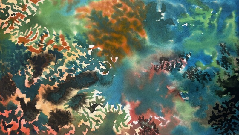 Streams Exhibition Open Call