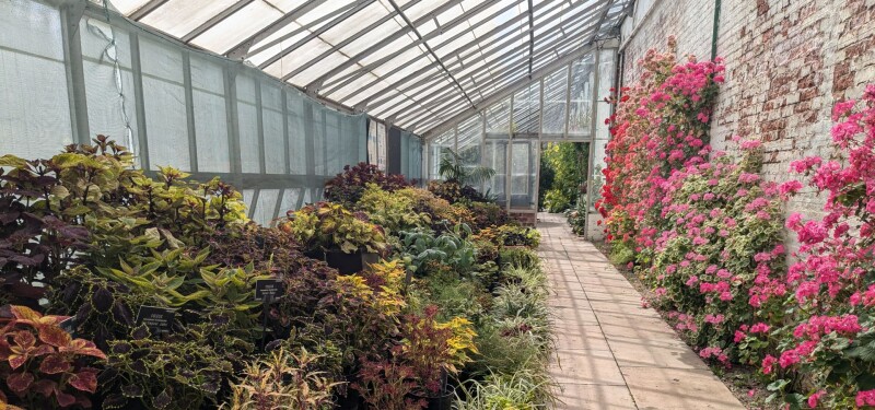 Plant Power: Summer at Temple Newsam