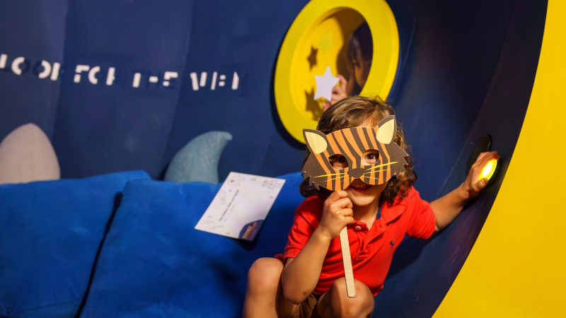 Story Explorers: Face Painting and Craft Session