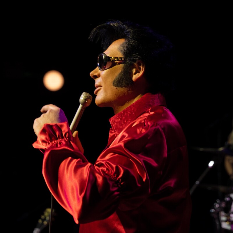 Elvis Legacy By Mark Summers