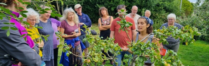 Summer Fruit Tree Pruning Workshop