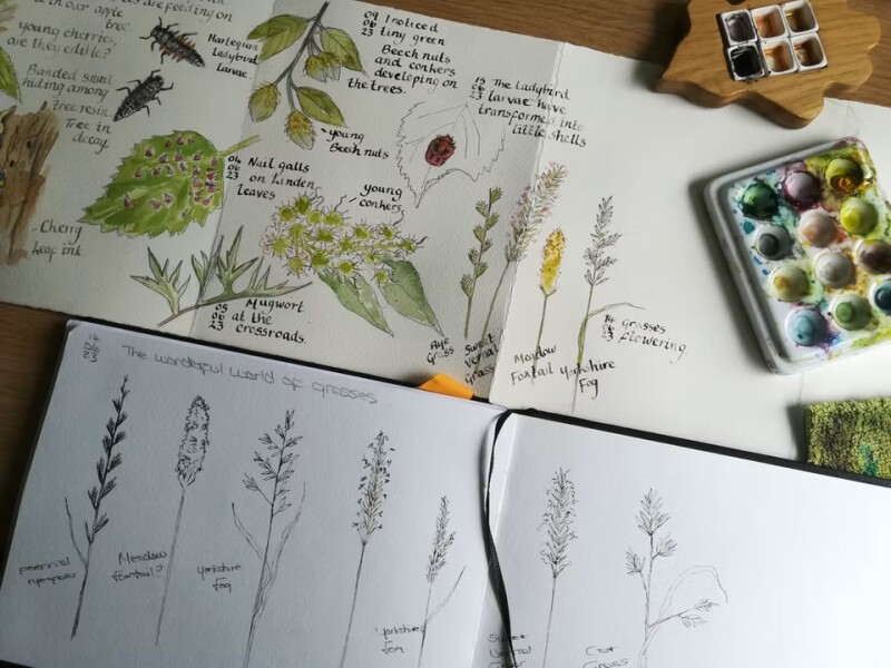 Nature Diary Workshop