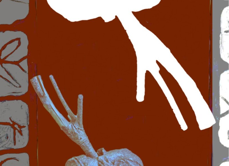 Long Time No See – exhibition