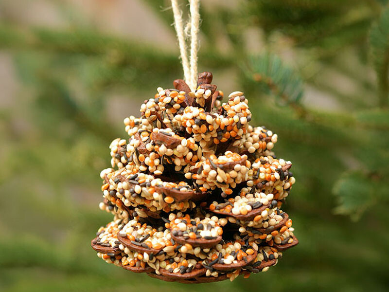 October Half Term: Make Your Own Bird Feeder with the RHS