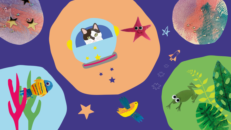 Story Explorers: Whale Tales