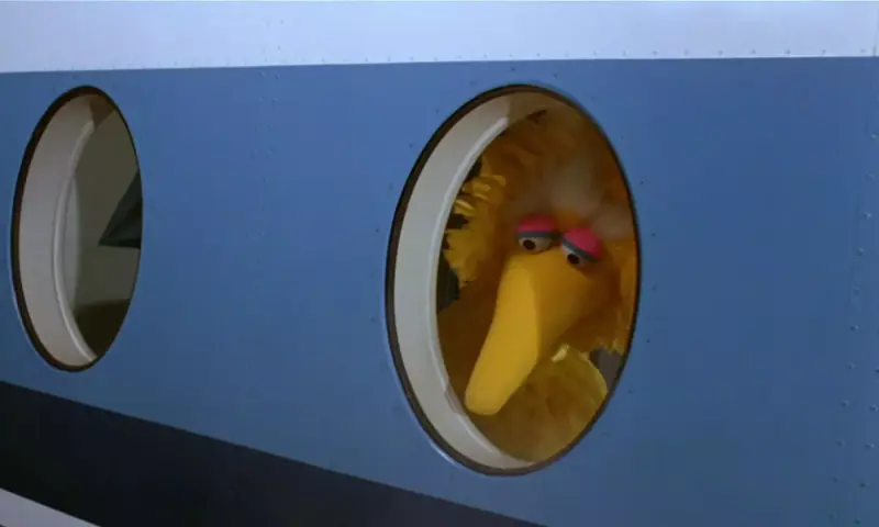 Follow That Bird (U)