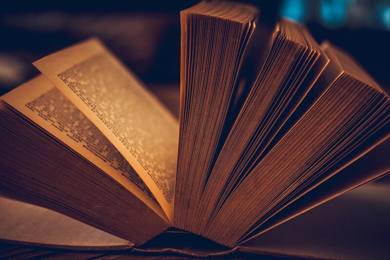 Quiet Reading Sessions
