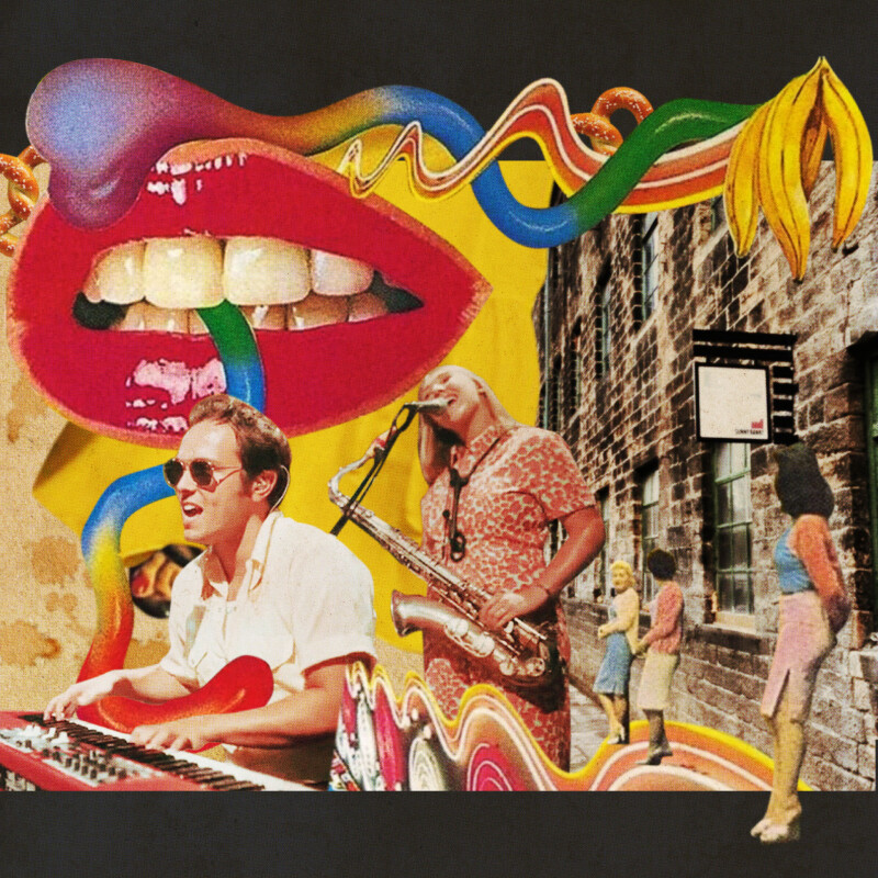 Reelin’ in the Dan