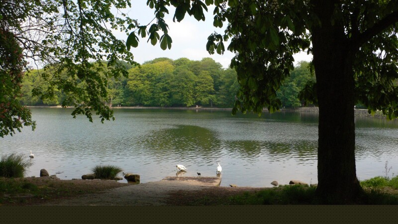 Roundhay Park