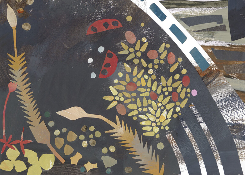 Sphagnum Pioneers / Messing with Mosses