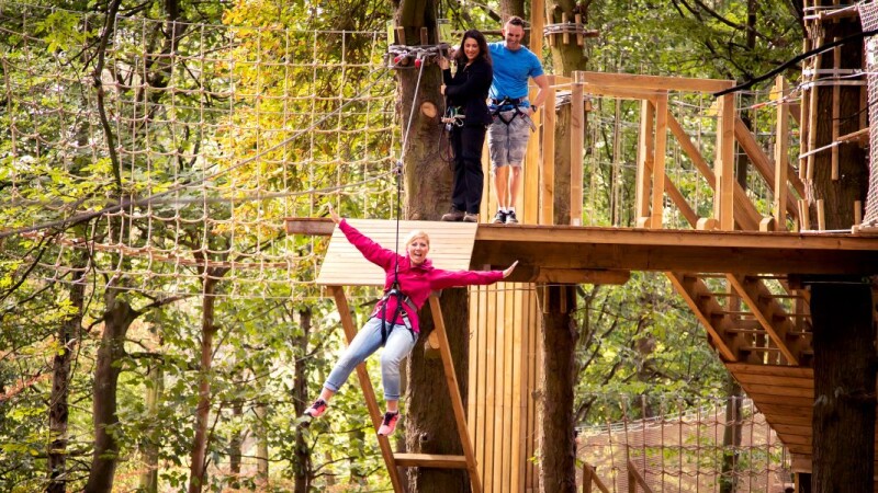 Go Ape Temple Newsam