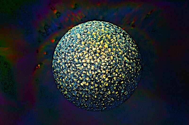 Friends of Photography Exhibition