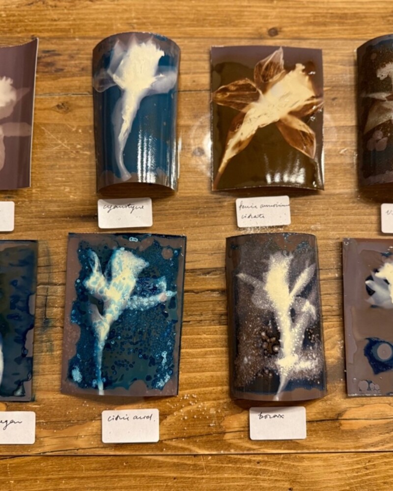 Cyanolumen: Light, Chemistry & Botanical Traces – Print Festival 2026