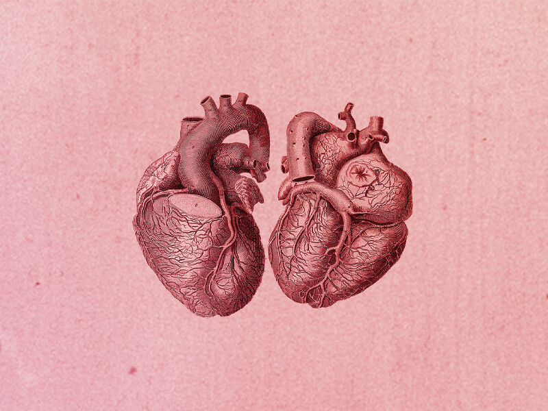 Thackray Insights: The Heart of the Matter