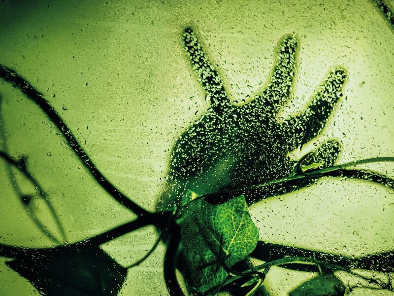 Little Shop of Horrors