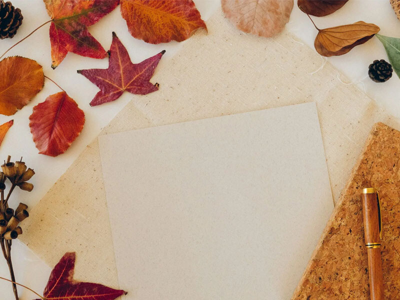 October Half Term: Wild Woodland Art