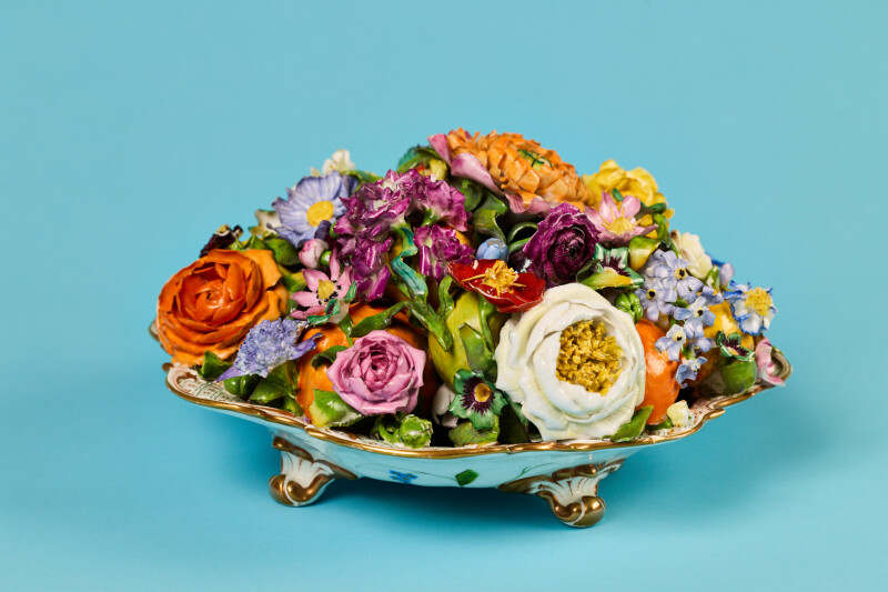 Botanically Beautiful: Art and design inspired by nature