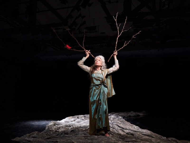Wild Hope by TC Howard and Company of People | Ageless Festival