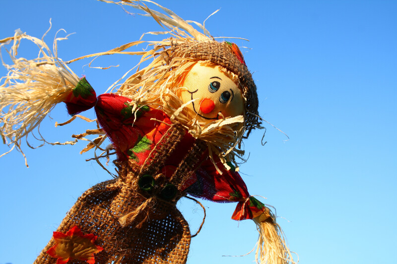 Scarecrow Trail