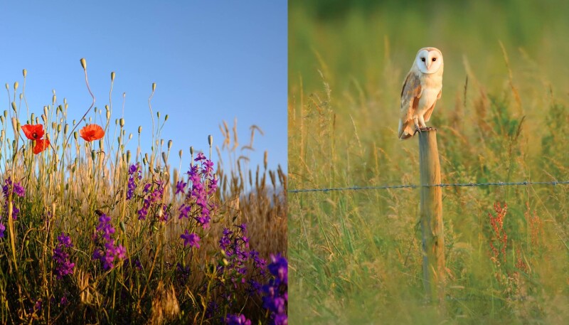 Townclose Hills Nature Reserve