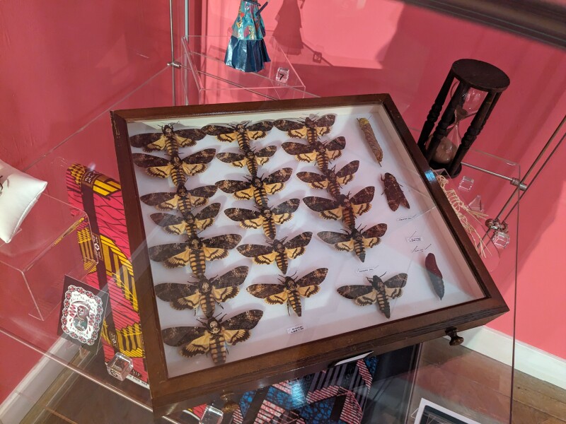 Moth Week! Store Tour and Workshop