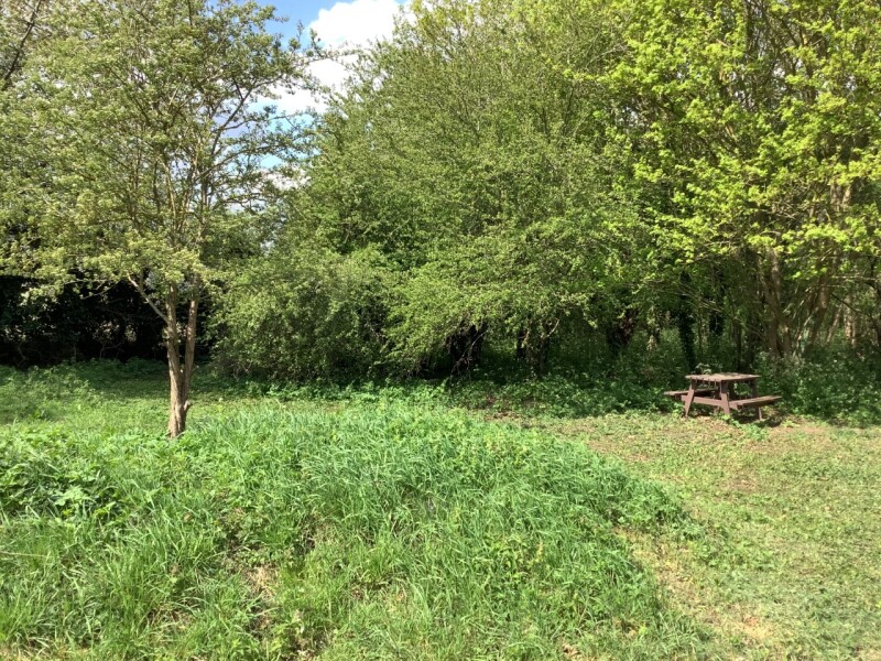 Claypit Lane Pocket Park