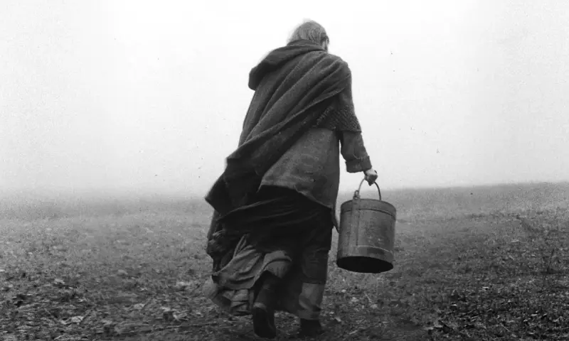 The Turin Horse (15)