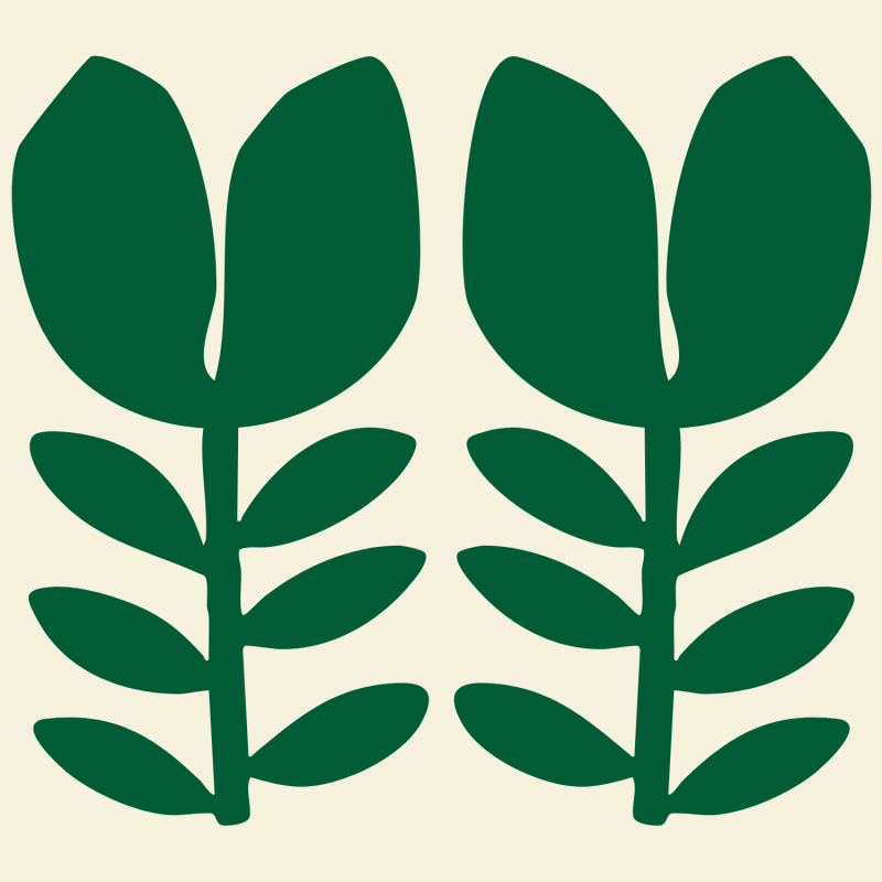 Grief & The Hedgerow: A Herbalism Workshop with Hannah-May Batley