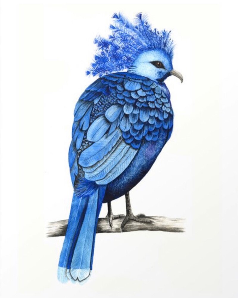 Aire Street Workshops