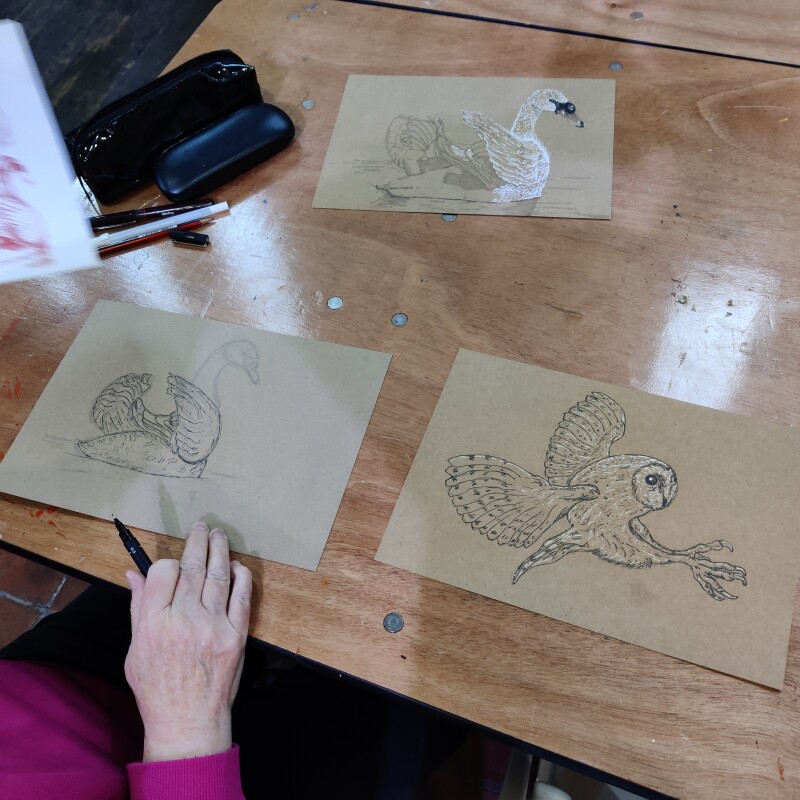 Bird Drawing and Construction with Michael Rios