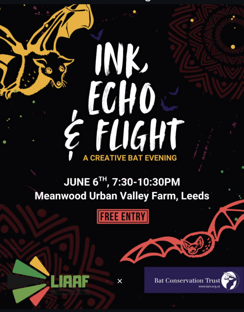 Ink, Echo & Flight @LIAAF 2026 – Free Entry