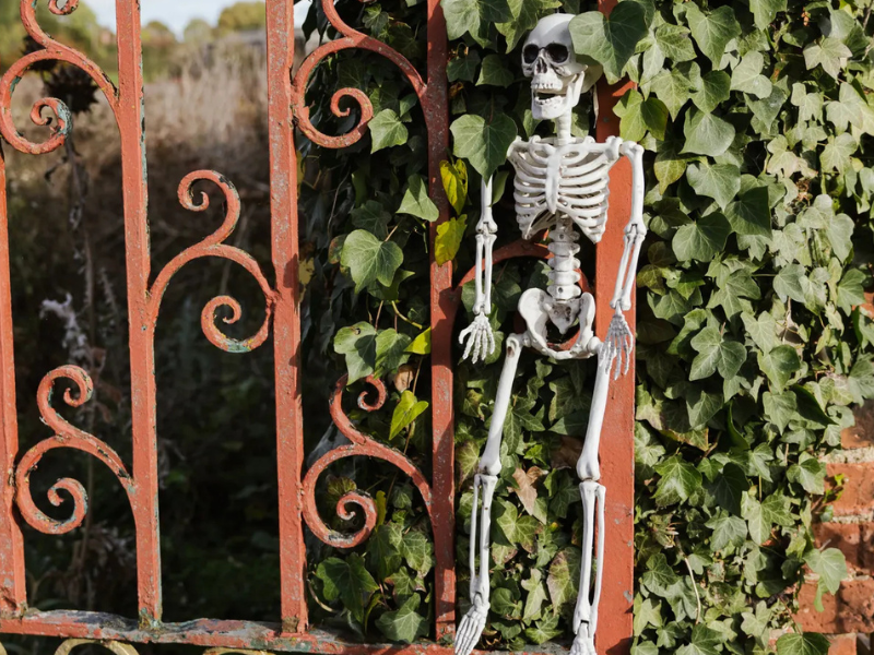 Halloween at Temple Newsam