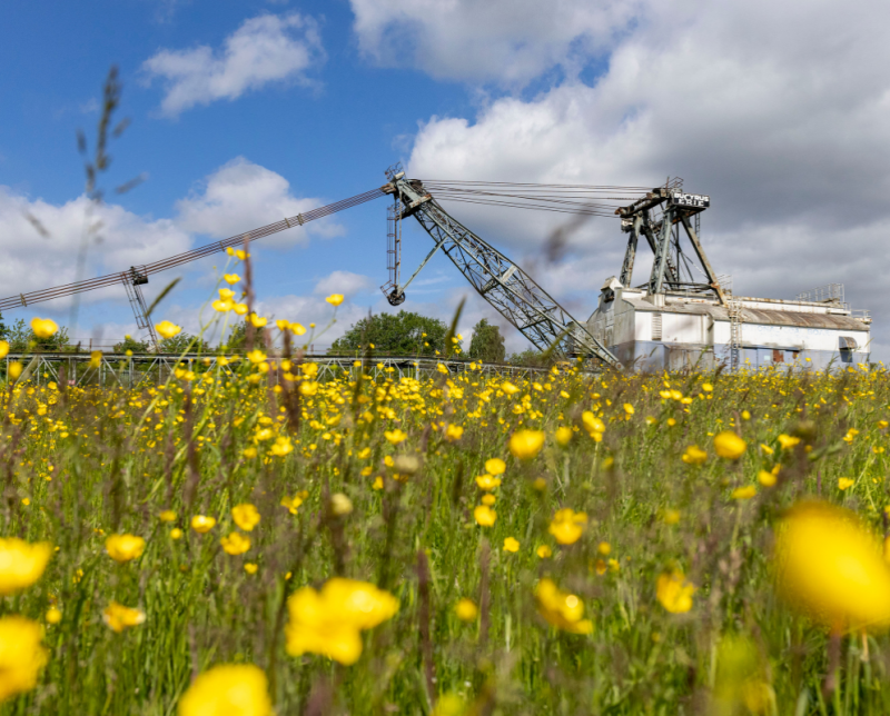 History Walk- RSPB St Aidan’s