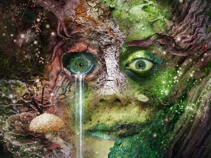Bog Witch
