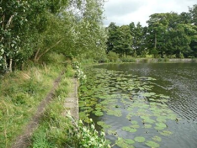 Breary Marsh Local Nature Reserve