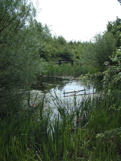 Kirkstall Valley Nature Reserve