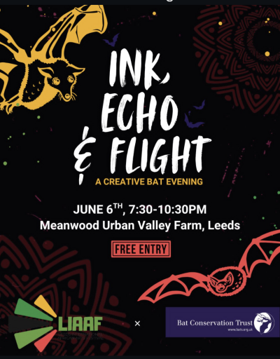 Ink, Echo & Flight @LIAAF 2026 – Free Entry