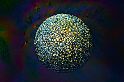 Friends of Photography Exhibition