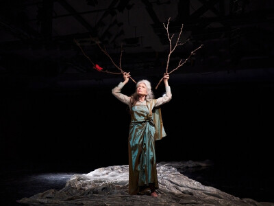 Wild Hope by TC Howard and Company of People | Ageless Festival