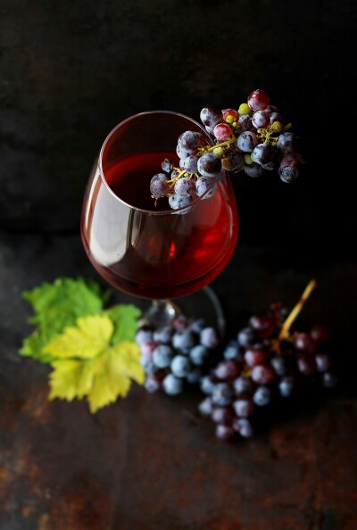 Call My Wine Bluff – Wetherby Festival Event