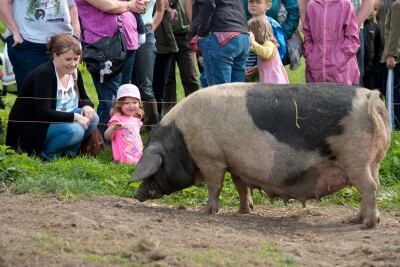 Swillington Organic Farm