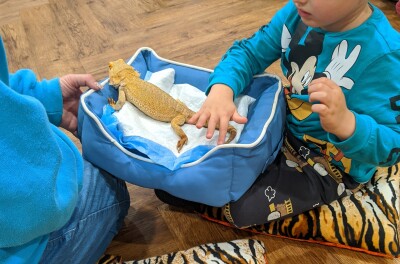 Animal Handling